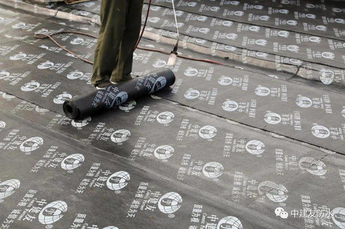 中建友小課堂 彈性體改性瀝青防水卷材屋面使用指南